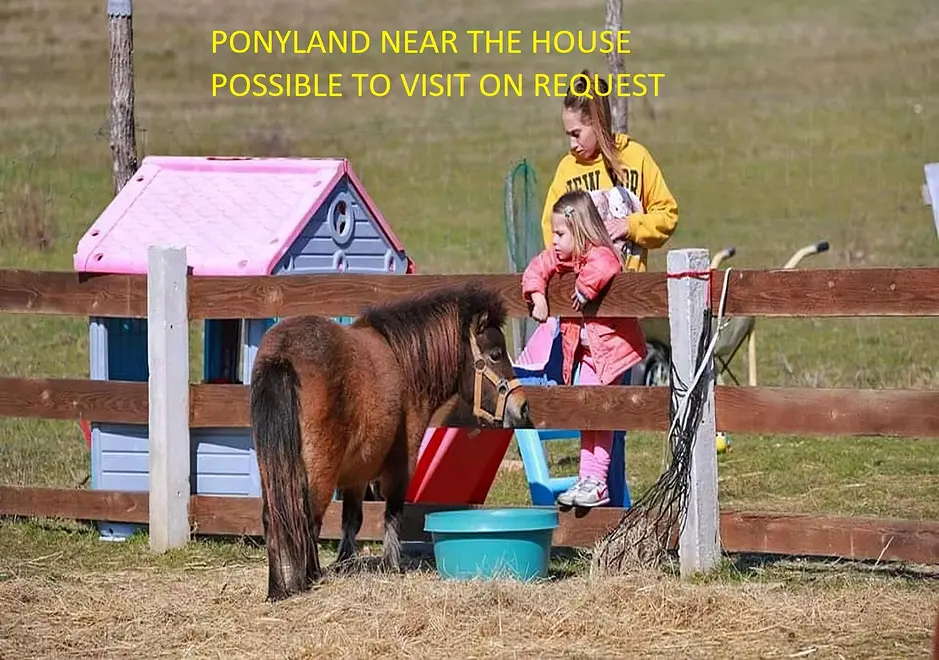 Ferienwohnung in Zadar mit Pool 999207737 35757