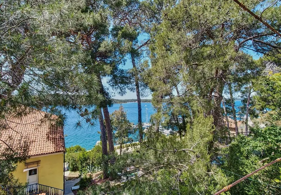 Ferienwohnung in Losinj haustiergeeignet 66152813 26606