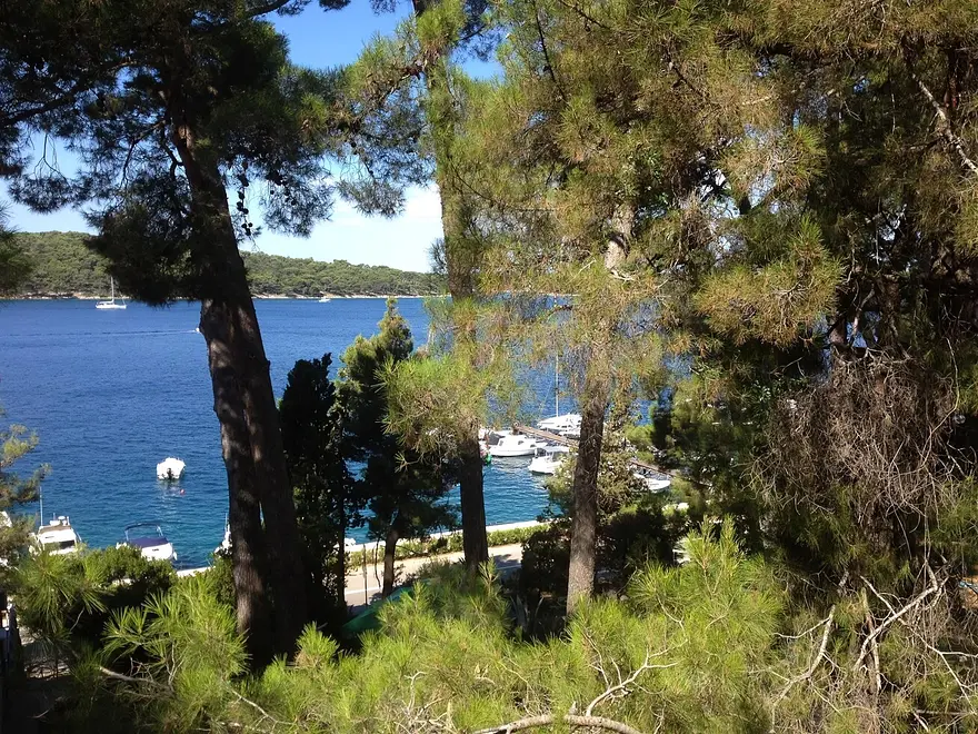 Ferienwohnung in Losinj haustiergeeignet 999210378 38240 – Foto 16