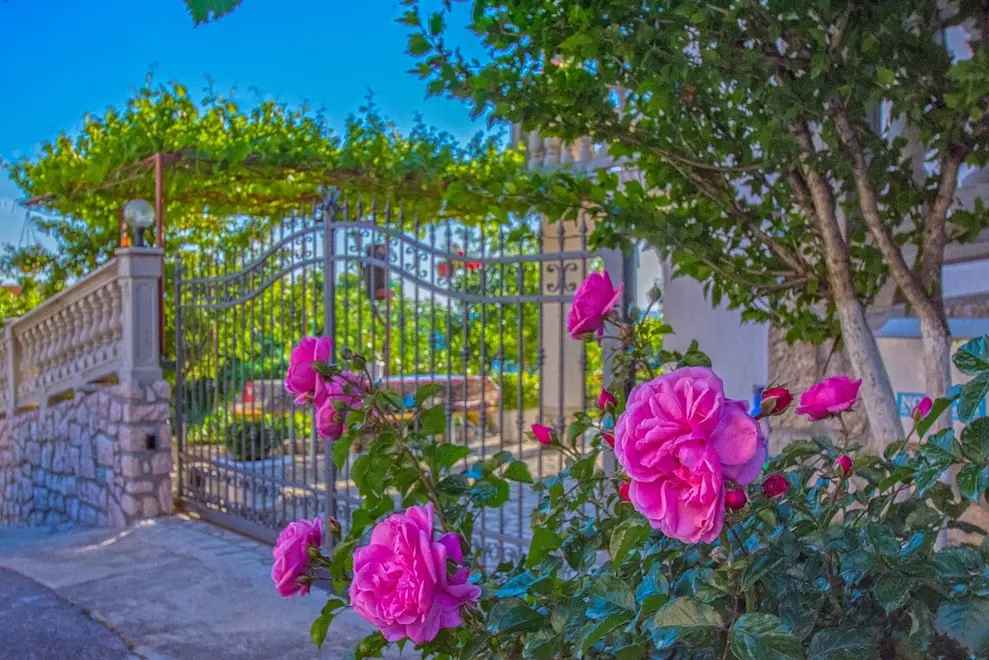 Ferienwohnung in Novi Vinodolski  999207990 35975 – Foto 3