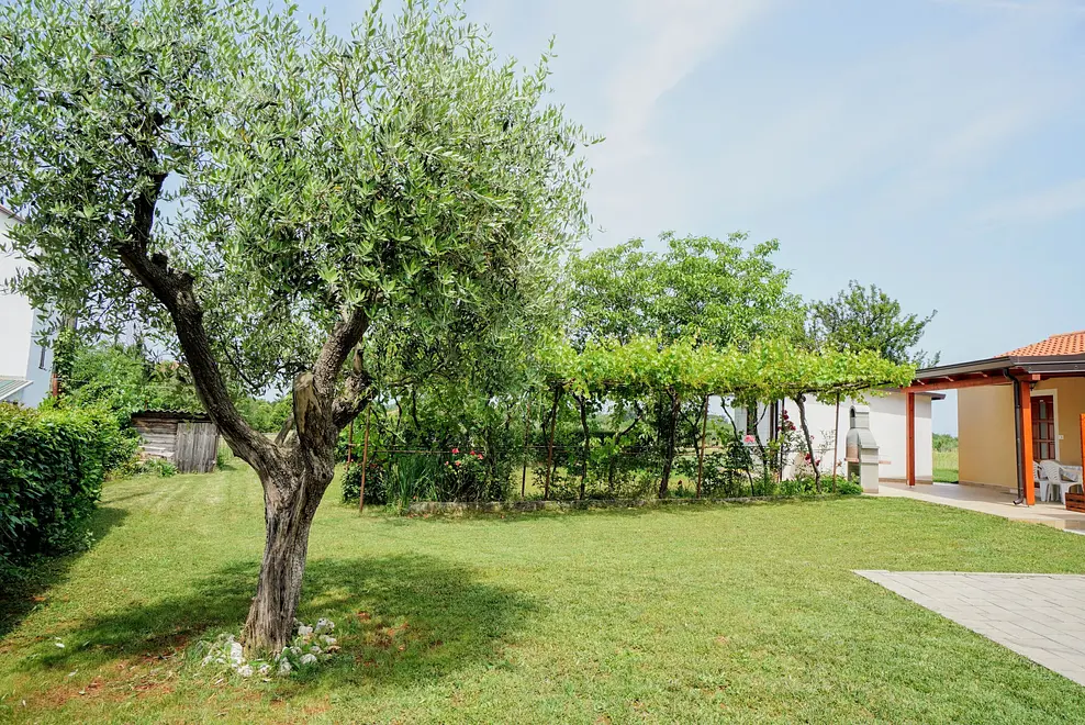 Ferienappartment in Brela  999231603 42771 – Foto 8
