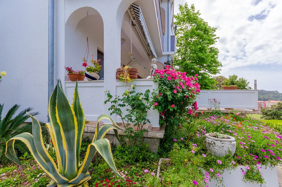 Ferienwohnung in Palit haustiergeeignet 999206368 34473 – Foto 19